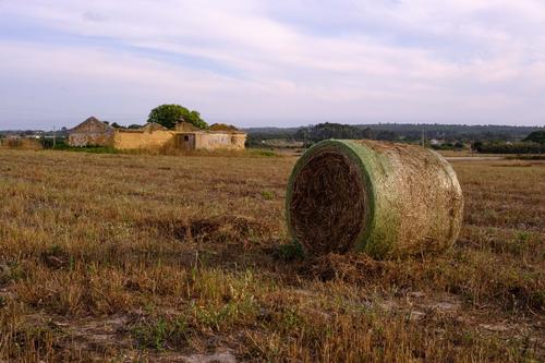 longueira_11_6_23_18_net.jpg