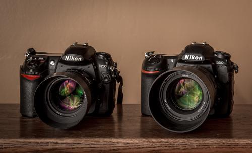 Nikon D200 (2005) : Nikon D500 (2016).jpg