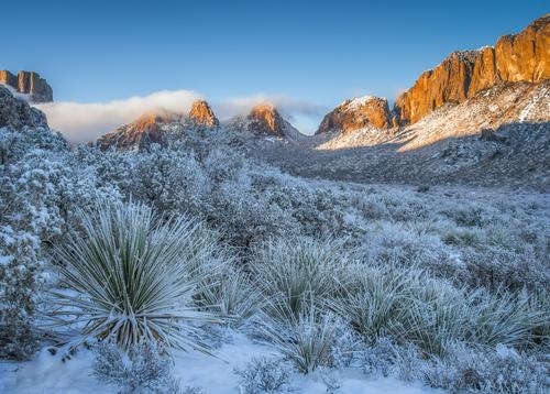 big bend.jpg