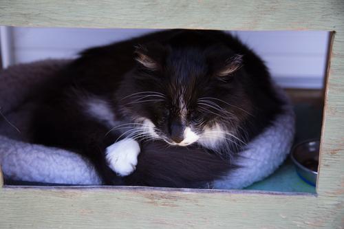 Palmer resting outside