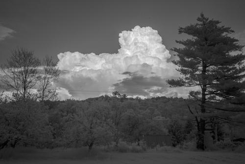 evening thunderhead 5-23.jpg