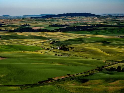 palouse-5 (Superlarge).JPG