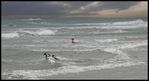 5-22-23 - Joy in Bliss in the waves.jpg