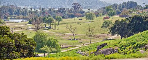 Safari Park Panorama resized.jpg