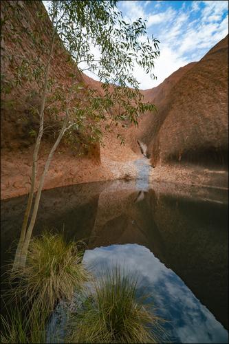 Mutijulu Waterhole.jpg