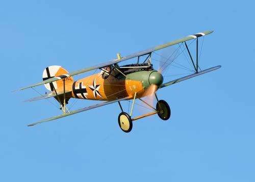 Albatros.jpg