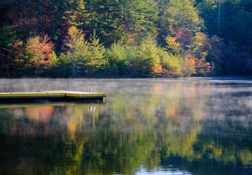 Mist on pond.jpg