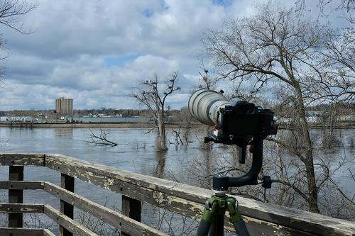 Birding Rig.jpg