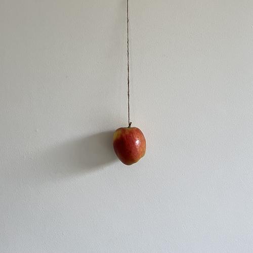 Apple on string.jpeg