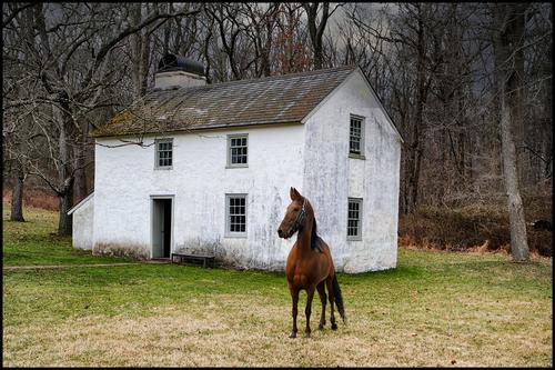 1-22-23 - Tenant House with horse.jpg