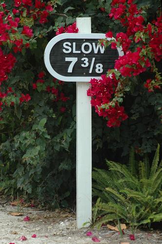 Speed Sign.jpg