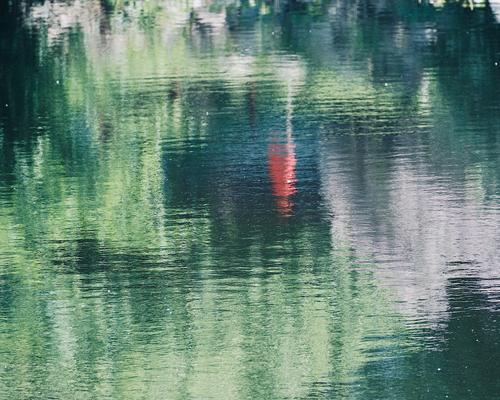 Centennial Lake Reflection.jpg