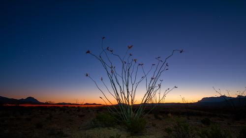 FirstLightBigBend_DSF3347-M1_C_16x9_20230425.jpg