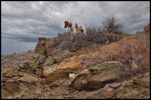 9-17-22 - Bliss in sage grouse country - 1.jpg