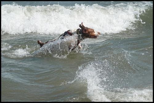 5-17-23 - Beach day - 3.jpg