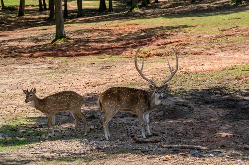 Safari Park 230430 - 2.jpg