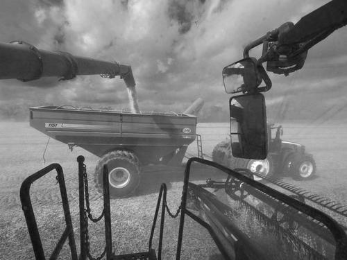 IMGP6324harvestingsoybeans_edited-1B&W.jpg