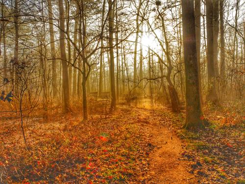 Morning Look and some HDR.jpg