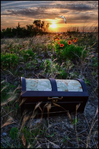 5-7-23 - Sunset flowers with treasure chest.jpg