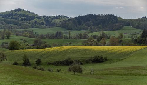 Mittershausen_DSF0233-RAF_DxO_DeepPRIMEXD_3000px.jpg