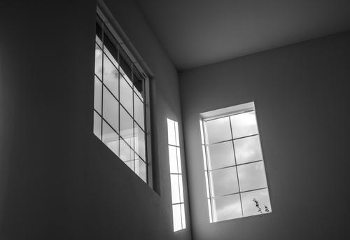 Windows-BW.jpg