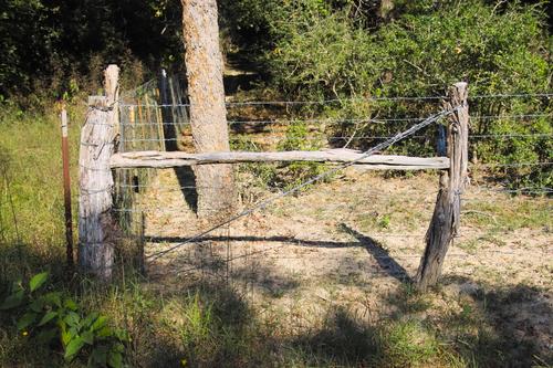 cedarwood fence.jpg