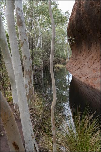 Mutijulu Waterhole.3.jpg