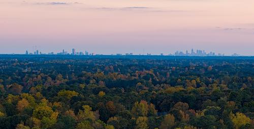 Fall in Atlanta.jpg