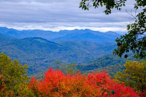 Blue Ridge Color.jpg