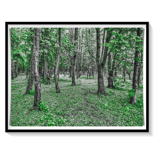 batch_DSCN1542-Woodland-Ranges-Everleigh-Wiltshire-PC-512.png