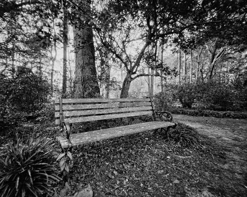 ParkBench1_bw02.jpg