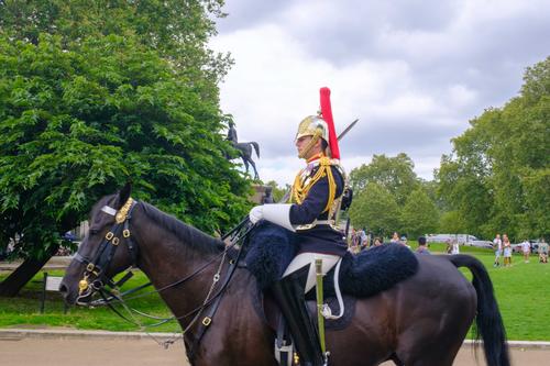 Royal Horse Guards II.jpg