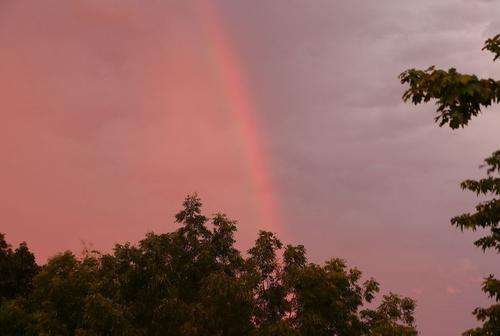 rainbow -07-30-24.JPG