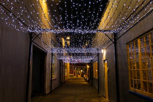 20230208 02 Granville Island at Night.jpg