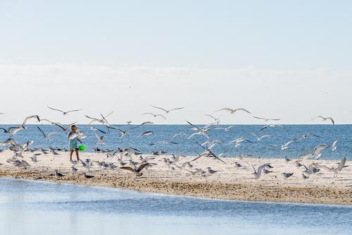 Girl and birds.jpg